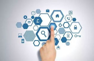 科技进步培育新动能，为经济高质量发展注入强大动力——以网络技术服务为例